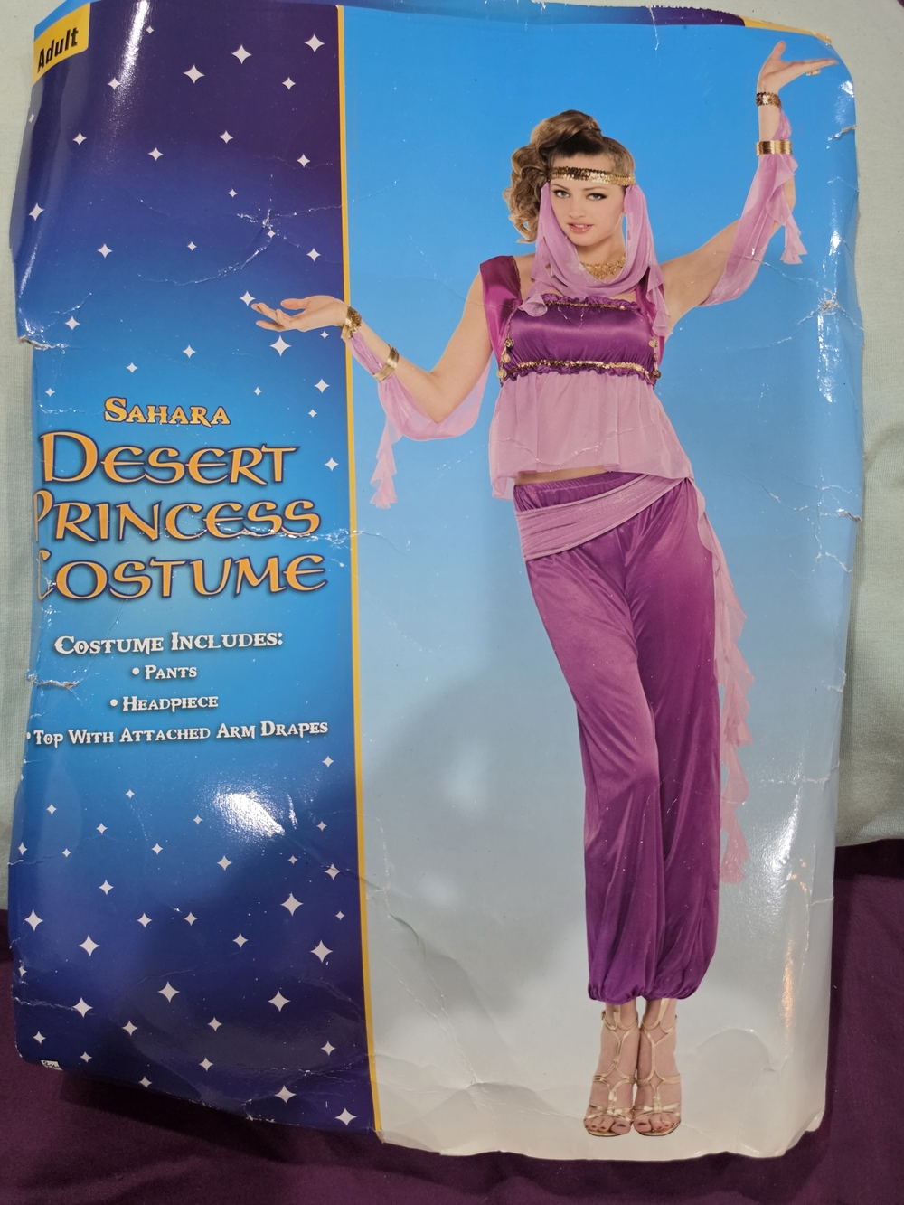 Sahara Desert Princess  Costume - Purple Size Medium Juniors